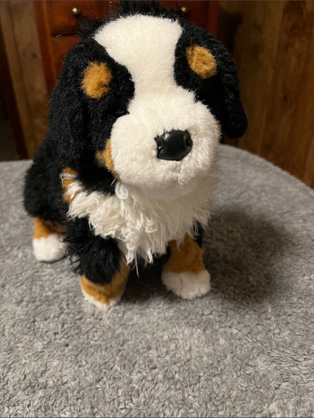 Douglas Cuddle Toy Plush Bernese Mountain Dog Stuffed Animal Black White Brown